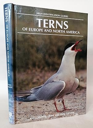 Terns of Europe and North America (Helm Identification Guides)