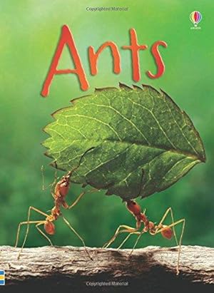 Bild des Verkufers fr Beginners Ants (Beginners Series) zum Verkauf von WeBuyBooks 2