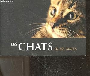 Bild des Verkufers fr Les chats en 365 images - calendrier zum Verkauf von Le-Livre