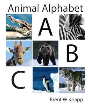 Imagen del vendedor de Animal Alphabet: From Alligator to Zebra a la venta por WeBuyBooks 2