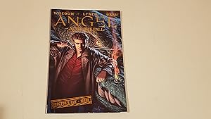 Seller image for Angel, After The Fall for sale by SkylarkerBooks