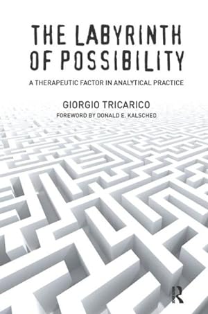 Seller image for Labyrinth of Possibility : A Therapeutic Factor in Analytical Practice for sale by GreatBookPricesUK