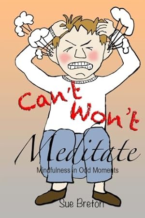 Imagen del vendedor de Can't Meditate, Won't Meditate: Mindfulness in Odd Moments a la venta por WeBuyBooks 2