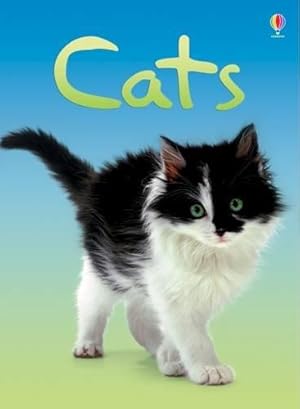 Imagen del vendedor de Cats (Beginners) a la venta por WeBuyBooks 2