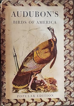 Imagen del vendedor de Audubon's Birds of America "Popular Edition" a la venta por The Book House, Inc.  - St. Louis