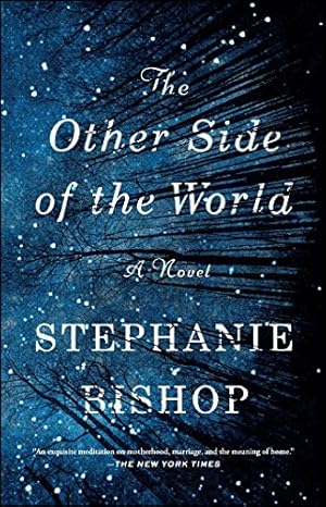 Image du vendeur pour The Other Side of the World: A Novel mis en vente par -OnTimeBooks-