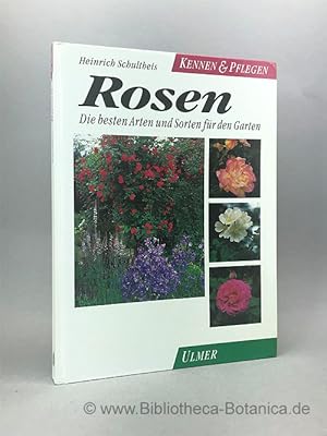 Bild des Verkufers fr Rosen. Die besten Arten und Sorten fr den Garten. zum Verkauf von Bibliotheca Botanica