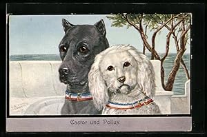 Ansichtskarte Castor und Pollux, Zwei Hunde am Meer