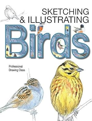 Immagine del venditore per Sketching & Illustrating Birds: Professional Drawing Class venduto da WeBuyBooks