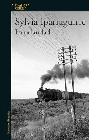 La orfandad / Sylvia Iparraguirre.