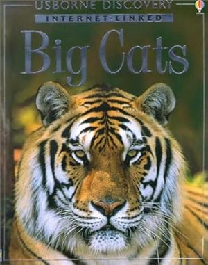 Seller image for Big Cats: Internet Linked (Discovery Program) for sale by WeBuyBooks 2