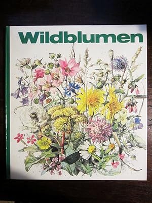 Wildblumen