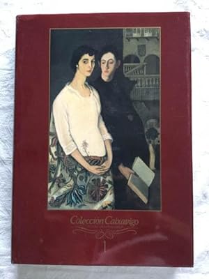 Seller image for Coleccin Caixavigo. Pintura-escultura-dibujo. Tomo 1. for sale by Libros Tobal