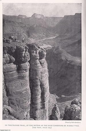 Experiences in the Grand Canyon, by Ellsworth and Emery Kolb. An original article from the Nation...