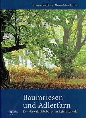 Baumriesen und Adlerfarn : der Urwald Sababurg im Reinhardswald.