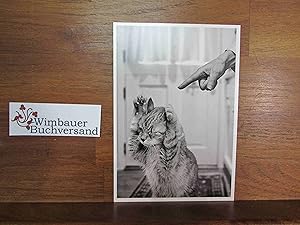 Image du vendeur pour Photopostkarte John Lund Vilain Chat Bad Kitty mis en vente par Antiquariat im Kaiserviertel | Wimbauer Buchversand