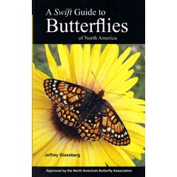 Imagen del vendedor de A Swift Guide To Butterflies of North America a la venta por savehere619