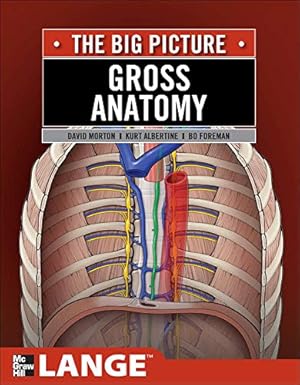 Imagen del vendedor de Gross Anatomy: The Big Picture (LANGE The Big Picture) a la venta por ZBK Books