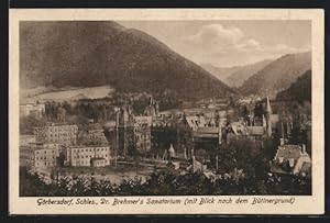 Ansichtskarte Görbersdorf, Dr. Brehmer`s Sanatorium mit Blick nach dem Büttnergrund