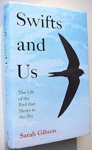 SWIFTS AND US The Life Of The Bird That Sleeps In The Sky