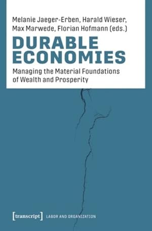 Seller image for Durable Economies : Organizing the Material Foundations of Society for sale by GreatBookPrices