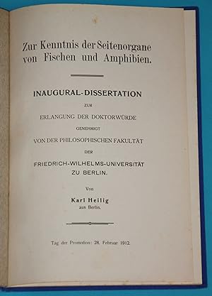 Zur Kenntnis der Seitenorgane von Fischen und Amphibien - Inaugural-Dissertation zur Erlangung de...