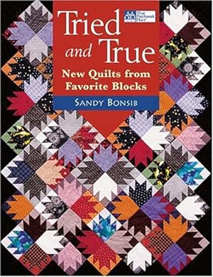 Immagine del venditore per Tried and True: New Quilts from Favorite Blocks venduto da WeBuyBooks 2