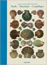 Imagen del vendedor de Shells By Antoine-Joseph Dezallier d'Argenville a la venta por Reliant Bookstore