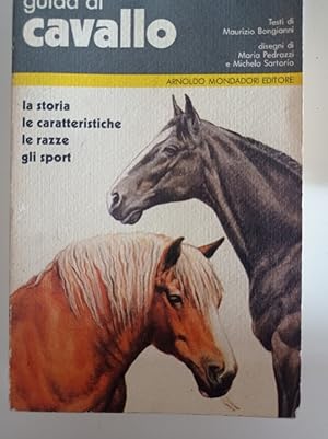 Guida al cavallo