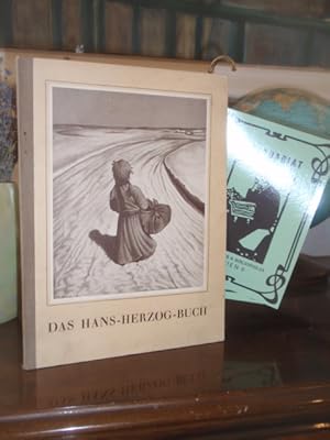 Bild des Verkufers fr Das Hans-Herzog-Buch. Dichtungen von Margarete Seemann. zum Verkauf von Antiquariat Klabund Wien