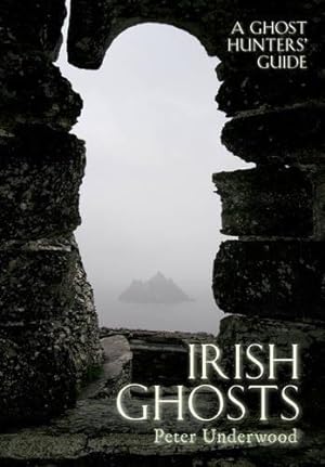 Bild des Verkufers fr Irish Ghosts: A Ghost Hunters' Guide zum Verkauf von WeBuyBooks