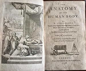 THE ANATOMY OF THE HUMAN BODY