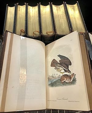 Immagine del venditore per The Birds of America, from drawings made in the United States and their territories venduto da Timeless Tales Rare Books