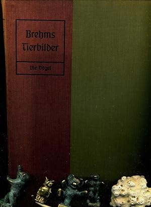 Bild des Verkufers fr Mappenwerk: Brehms Tierbilder. Zweiter Teil, Die Vo gel : 60 farbige Tafeln aus "Brehms Tierleben" Loseblattsammlung in einer Flgelmappe. Leipzig, Bibliographisches Institut, Leipzig, 1913. ( Pictorial works / Physische Beschreibung: 60 leaves, 60 leaves of plates : color illustrations ; 31 cm. zum Verkauf von Umbras Kuriosittenkabinett