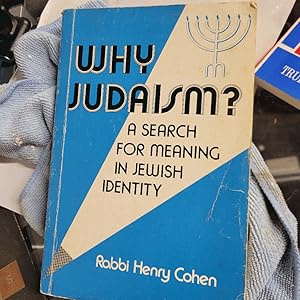 Imagen del vendedor de Why Judaism? a la venta por Heisenbooks