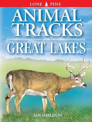 Bild des Verkufers fr Animal Tracks of the Great Lakes zum Verkauf von moluna
