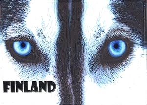 Embossed postcard - Finland Husky