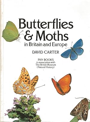 Imagen del vendedor de Butterflies and Moths in Britain and Europe. a la venta por C. Arden (Bookseller) ABA