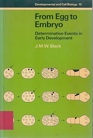 Imagen del vendedor de From Egg to Embryo: Determinative Events in Early Development (Developmental and a la venta por Die Buchgeister