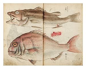 Two albums of drawings by Tsubaki Chinzan, containing more than 500 brush & ink drawings, heighte...