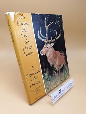 Seller image for Ob Fuchs, ob Has', ob Haselhuhn, ob Rehbock oder Hirsch . for sale by Roland Antiquariat UG haftungsbeschrnkt