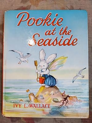 Pookie at the Seaside