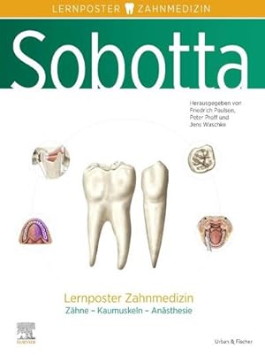 Immagine del venditore per Sobotta Lernposter Zahnmedizin venduto da BuchWeltWeit Ludwig Meier e.K.