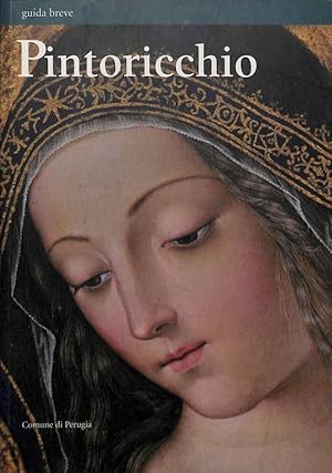 Bild des Verkufers fr Pintoricchio. Guida breve. Con DVD zum Verkauf von FolignoLibri