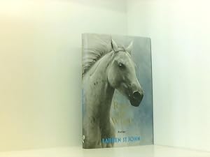 Seller image for Race the Wind (One Dollar Horse) Roman for sale by Book Broker