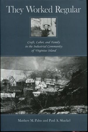 Seller image for They Worked Regular: Craft, Labor, and Family in the Industrial Community of Virginius Island for sale by Turgid Tomes
