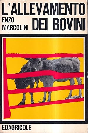 L'Allevamento dei Bovini