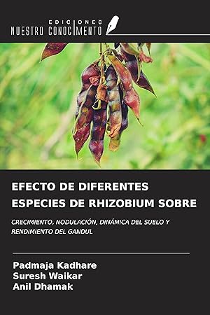 Seller image for EFECTO DE DIFERENTES ESPECIES DE RHIZOBIUM SOBRE for sale by moluna