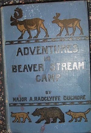 Image du vendeur pour Adventures in Beaver Stream Camp - Lost in the Northern Wilds mis en vente par eclecticbooks