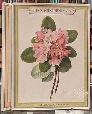 Seller image for The Rhododendron, 2 vol for sale by Moe's Books